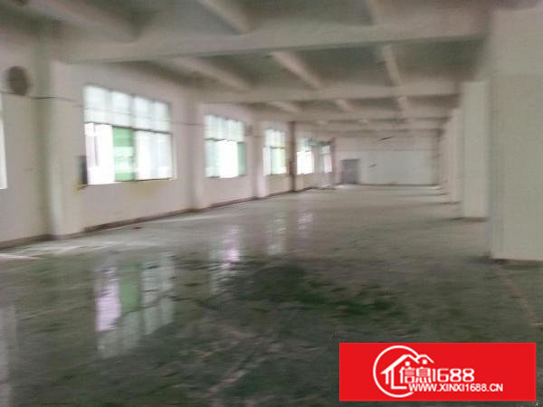 华昌路独院独栋6000平直租