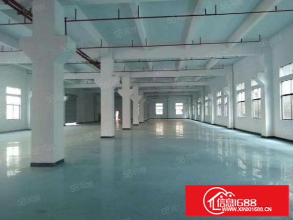 横沥镇三江工业区新出一楼带牛角及办公室标准厂房