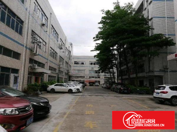 坪山金碧路旁新空出1300平米厂房出租