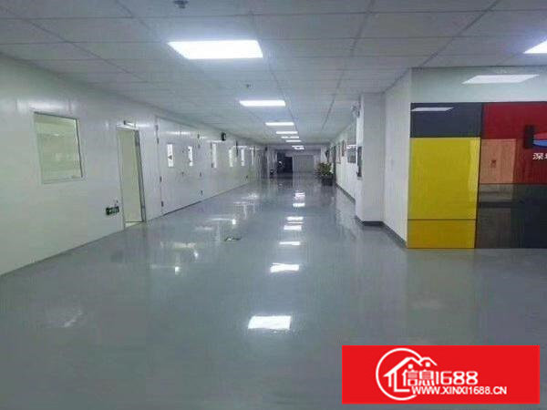 深圳龙岗同乐转租1510平现成无尘车间，带装修