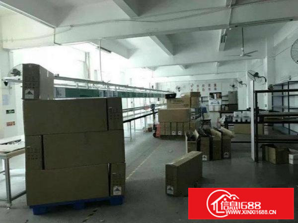 茶山标准分租楼上无公摊精2200平方厂房出租精装修