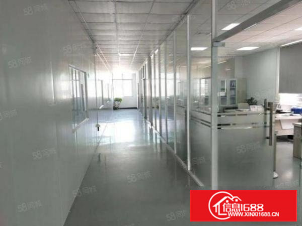 长安广深高速附近豪华装修厂房1100平