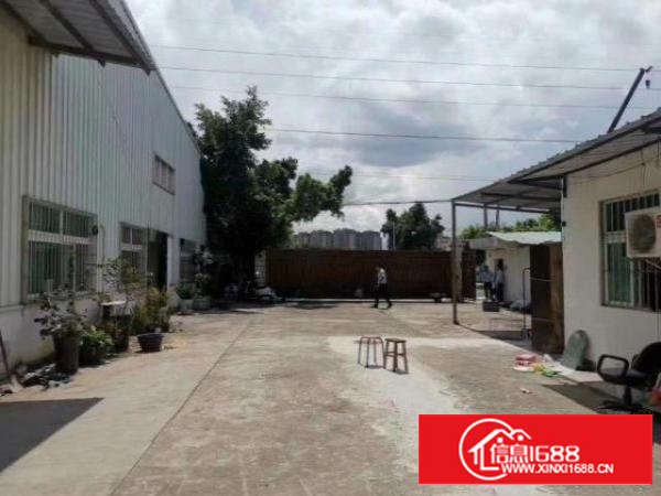 小独院8米高钢结构厂房出租