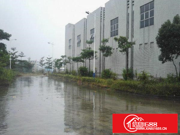 11万平米红本花园式厂房招租