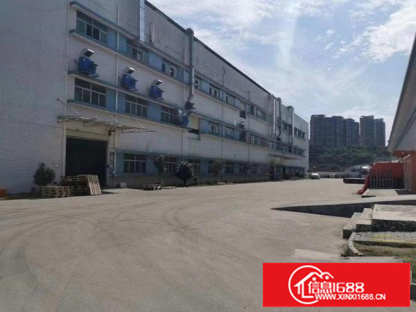 一楼6米，厂房仓库5000平方