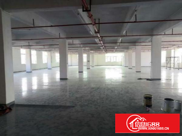 万江汽车总站附近独院标准厂房楼上1700平方出租带消防喷淋