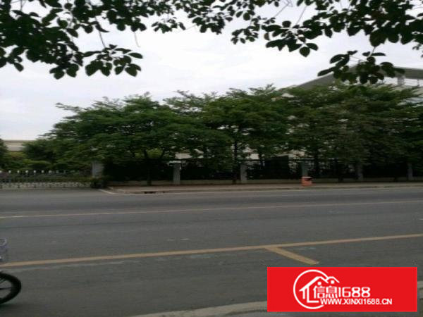 高埗镇高龙路旁厂房400平米交通便利