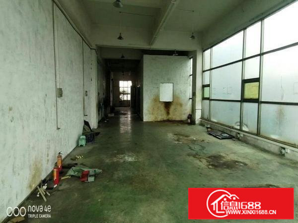 大岭山杨屋楼上现成水电350平可办环评