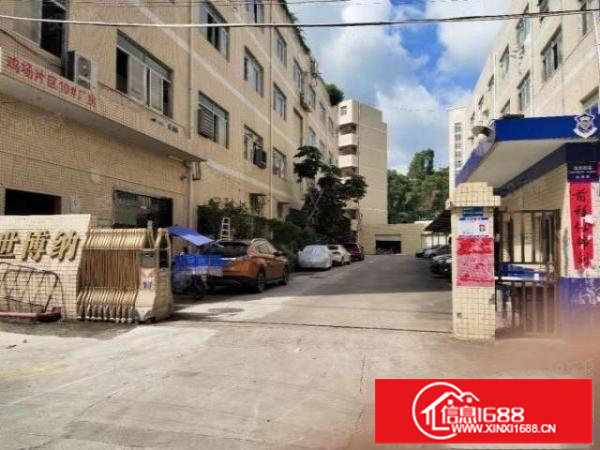 标准一楼招租，村委厂房，现成装修。没有额外公摊面积