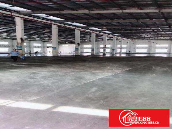 惠阳大亚湾高大上钢构厂房，带红本