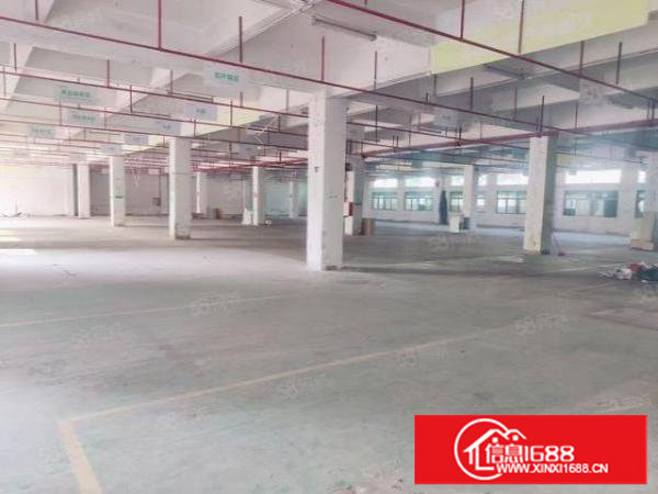 长安镇新空出标准厂房出租（空地大，形象好）可分租