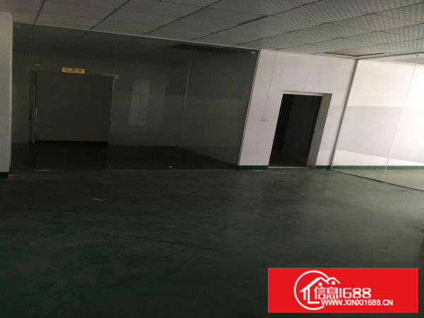 凤岗金凤凰楼上带装修办公室电子电商仓库厂房出租1200平