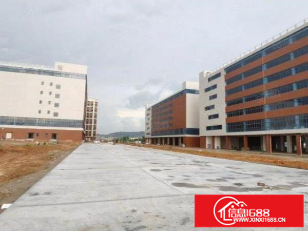 清溪镇国有证红本厂房12万平出租2500平起分租