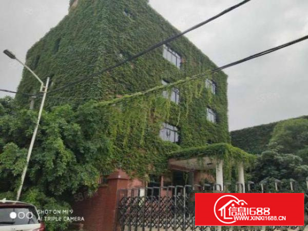 寮步上屯新出独院5600平厂房低价出租