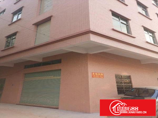 全新厂房写字楼整栋出租