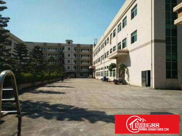 清溪东深高速旁一楼厂房2200平方高度6.5米