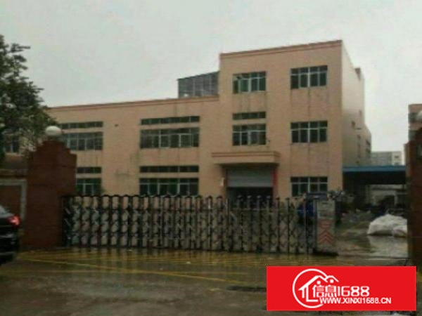 高埗标准厂房一楼或二楼1000平方出租带现成办公室装修