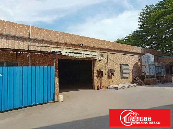 高埗1300平方单一层独院出租单一层独院出租有类似行业搬进