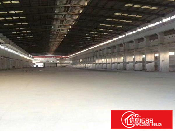 出租企石全新标准厂房一楼分租