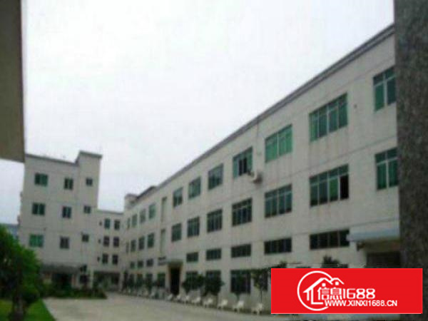 万江新出标准厂房一楼1000平方带办公室装修