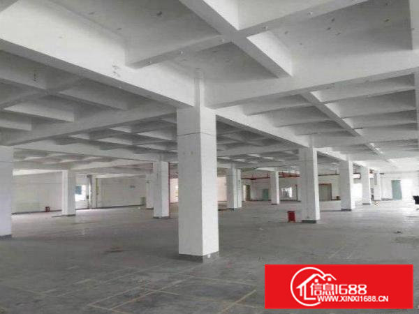 大埔分租四楼标准厂房700~1000平米，配货梯，带红本