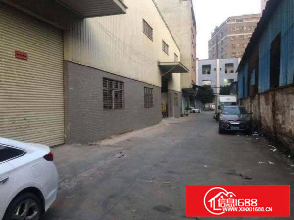 长富新出单一层钢构厂房500平方出租可环评