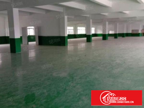 全石排镇有价值的厂房在这里（原房东超大空地独院标准厂房）