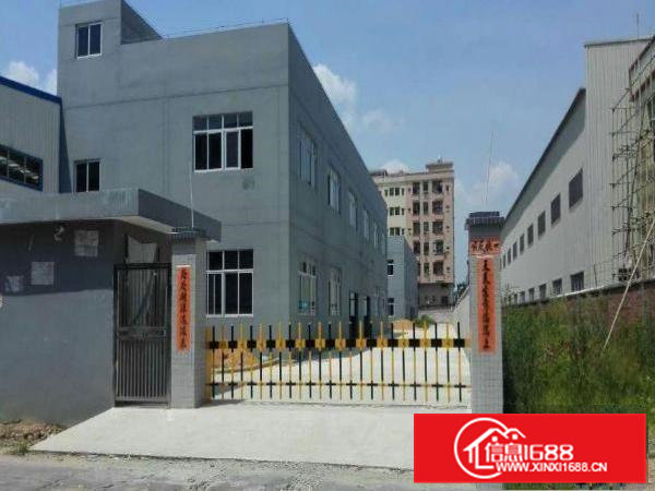 供应东莞常平镇6000平标准独院厂房招租