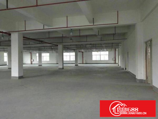 惠阳秋长白石黄氏工业区一二楼厂房6000平招租