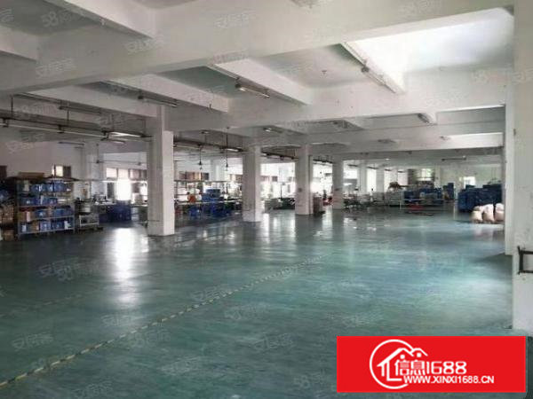 大宁原房东全新工业大厦招租，800平方以上起租