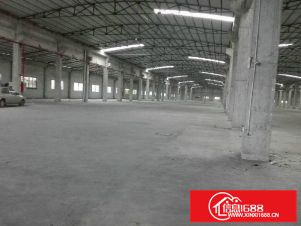 沥林标准单一层8米高厂房1200平米分租