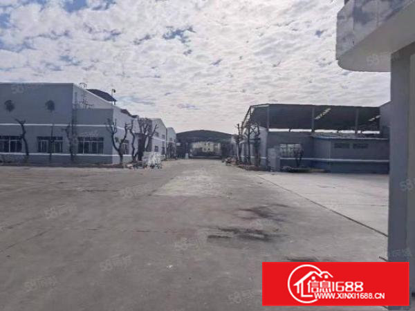 临深片区砖墙到顶钢结构厂房4栋13000平方米可分栋出租