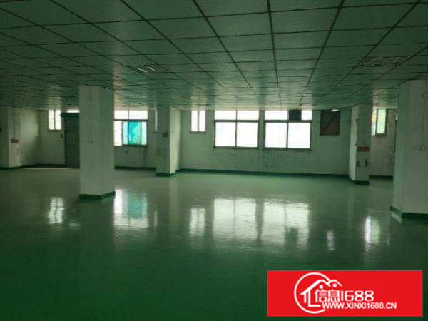 漂亮独院厂房出租了500-1000-1500平米都有