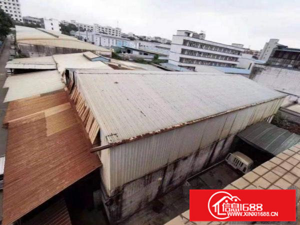 出租黄江社贝原房东独院厂房出租单一层钢构1000平带牛角位