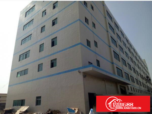 平湖上木古独院标准厂房楼上1300平出租水电齐全