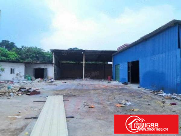 超低价8元大朗杨涌独院铁皮房加空地700平方原房东急租