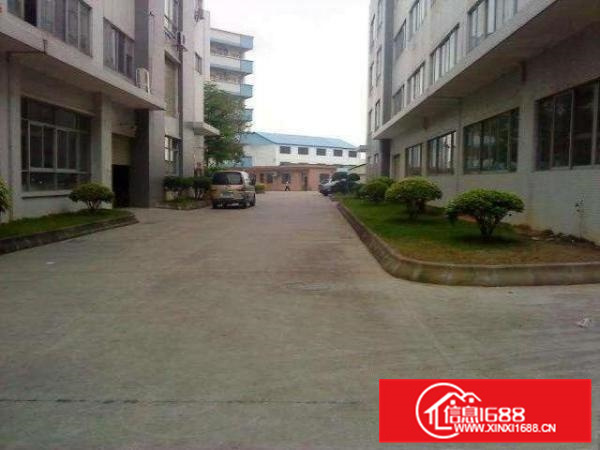 园洲厂房出租园洲厂房出售园洲厂房中介公司