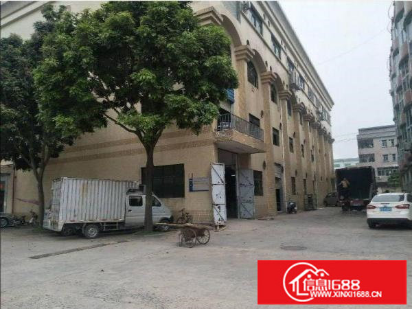 出租龙岗区中心城新出原房东标准厂房楼上550平方现装修