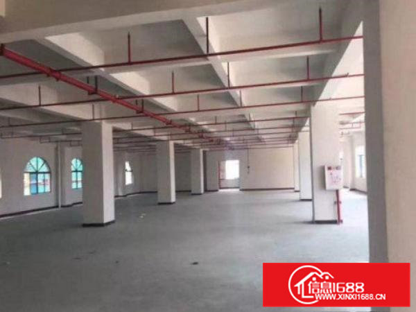 常平袁山贝新标准厂房一楼1200平米原房东有消防