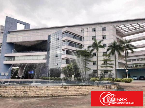 龙岗南通道边原房东独栋3000平现成办公楼出租