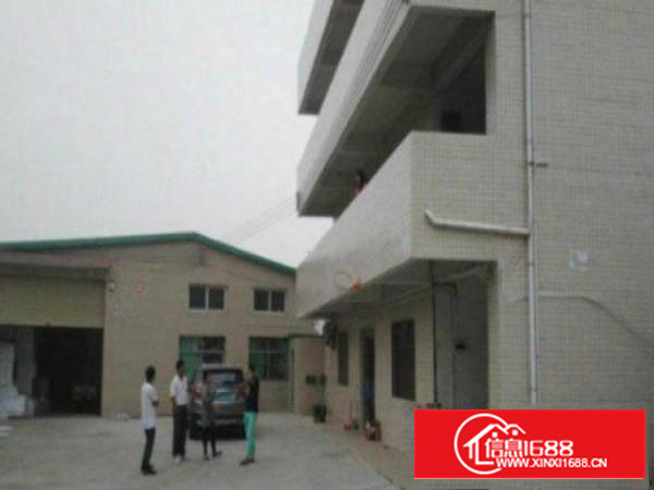 万江新村独门独院单层铁皮房1600方厂房出租水电齐全，带有独