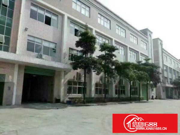 龙岗大道边上新出独院厂房出租3600平马路边