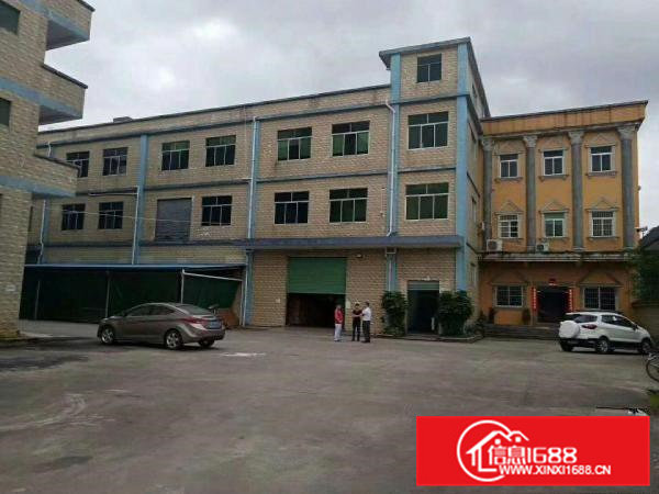 茶山镇标准独院厂房分租一楼1500平方，8成新