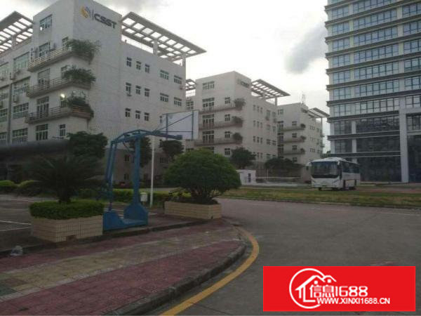 出租坪洲百货旁800平钢构厂房交通方便带电梯