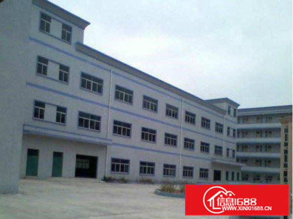 横沥村尾村标准独栋1800平方米厂房招租、交通方便