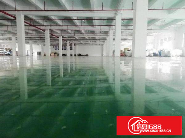 塘厦138工业区标准2楼3900平方！宽敞明亮！形象大气