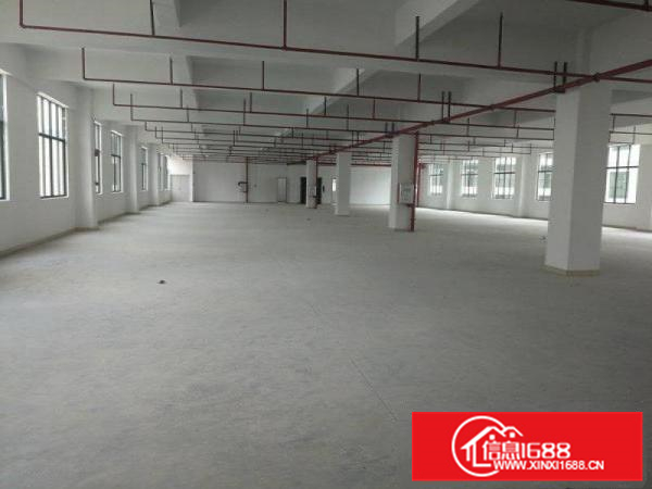 惠阳新圩原房东带红本独栋标准厂房4400出租