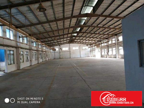 横沥新出原房东独院厂房厂房5000平米