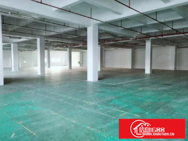 寮步中心区莞樟路旁原房东独院带消防喷淋3楼1200平厂房出租