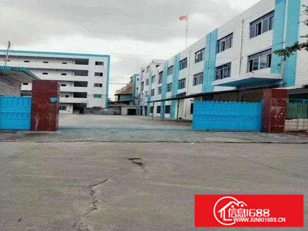 大岭山第三工业区新出600平方厂房，不限行业，价格优惠，